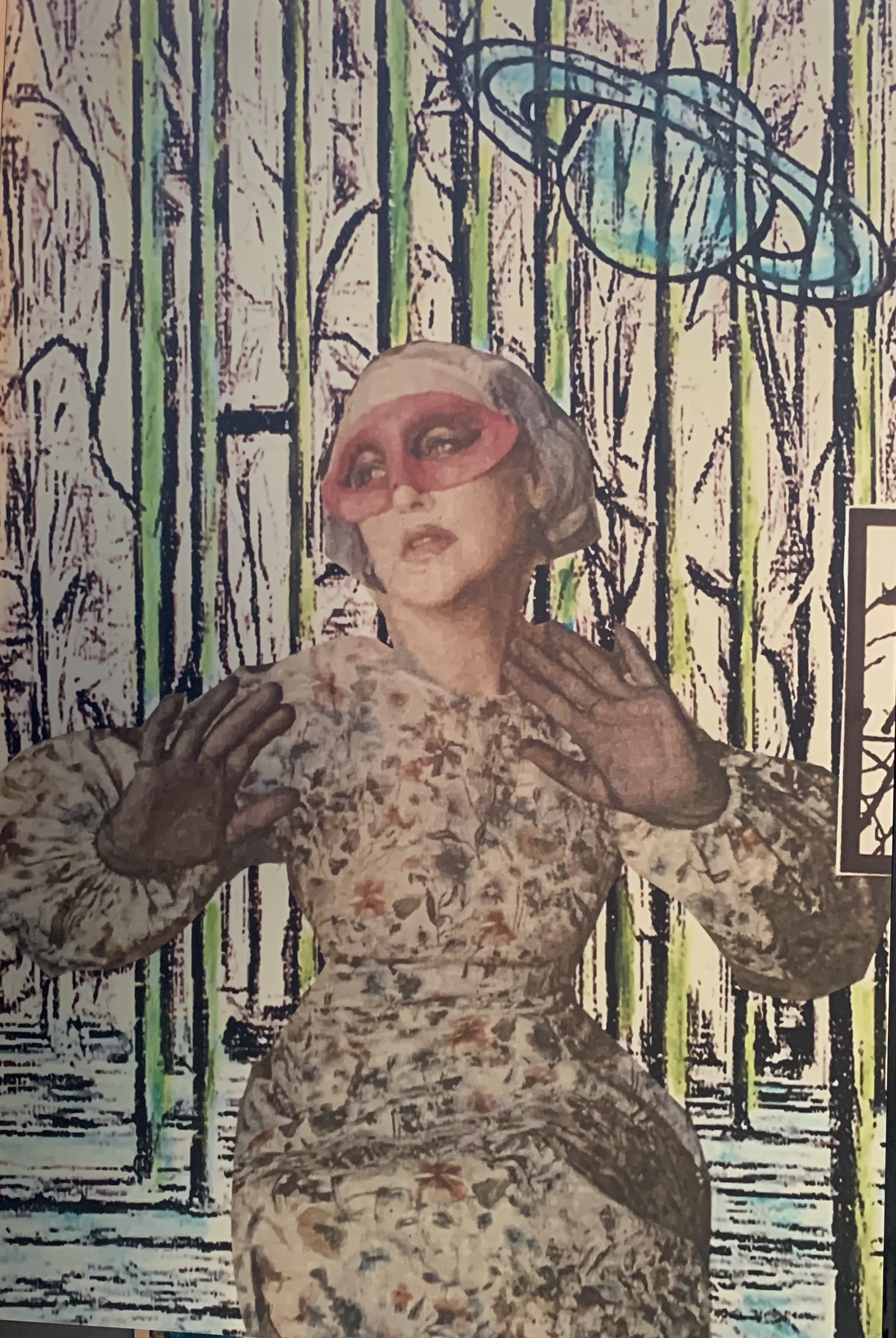 She Was Surprised by the Albino Falcon, 2022 